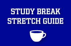 Text reads study break stretch guide.